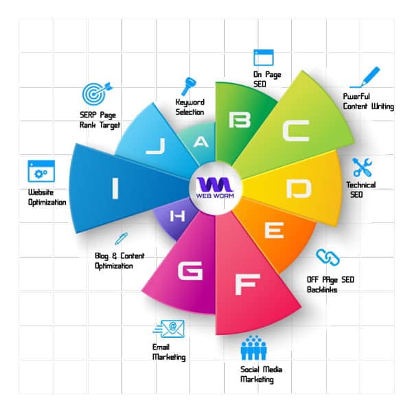 Steps-of-SEO-Infographic