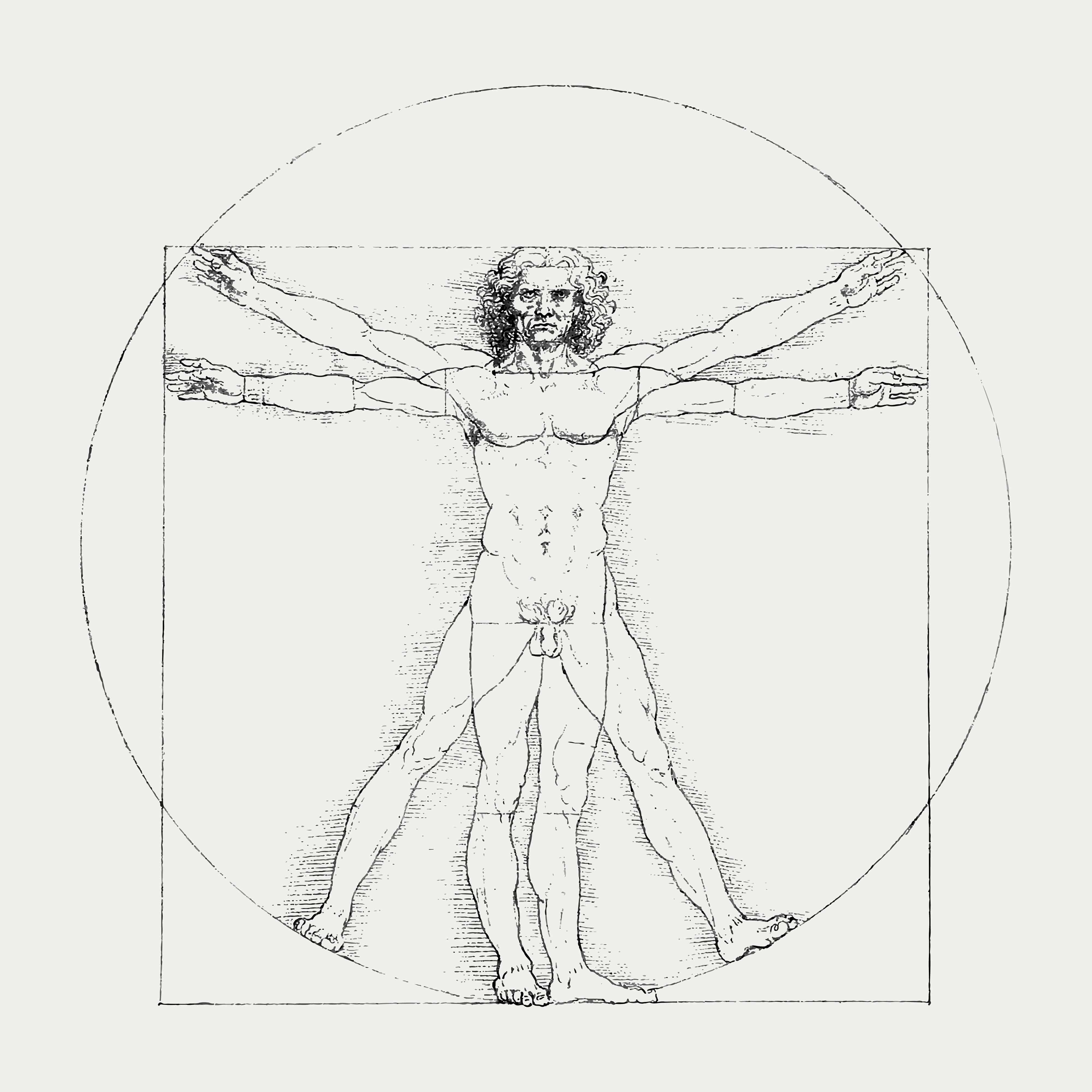 Vitruvian man- Proportion Design Element